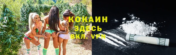 прущие крисы Белокуриха