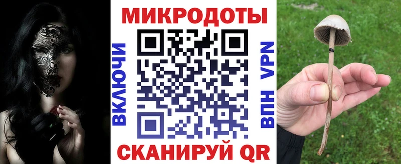 Псилоцибиновые грибы мицелий  купить наркотик  ссылка на мегу рабочий сайт  Ворсма 