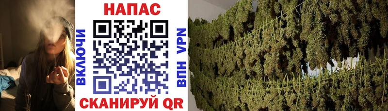 дарнет шоп  Ворсма  Марихуана OG Kush 